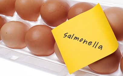Salmonella and raw eggs